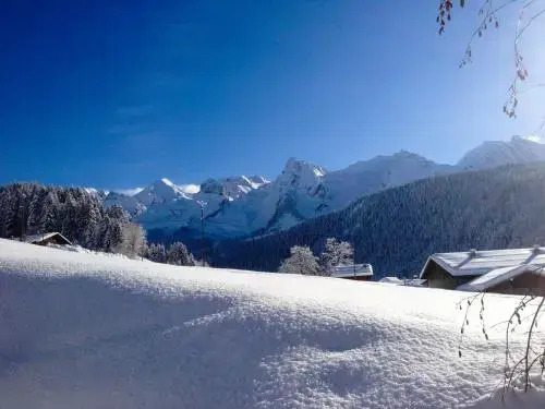 Chalet La Vigogne et Spa