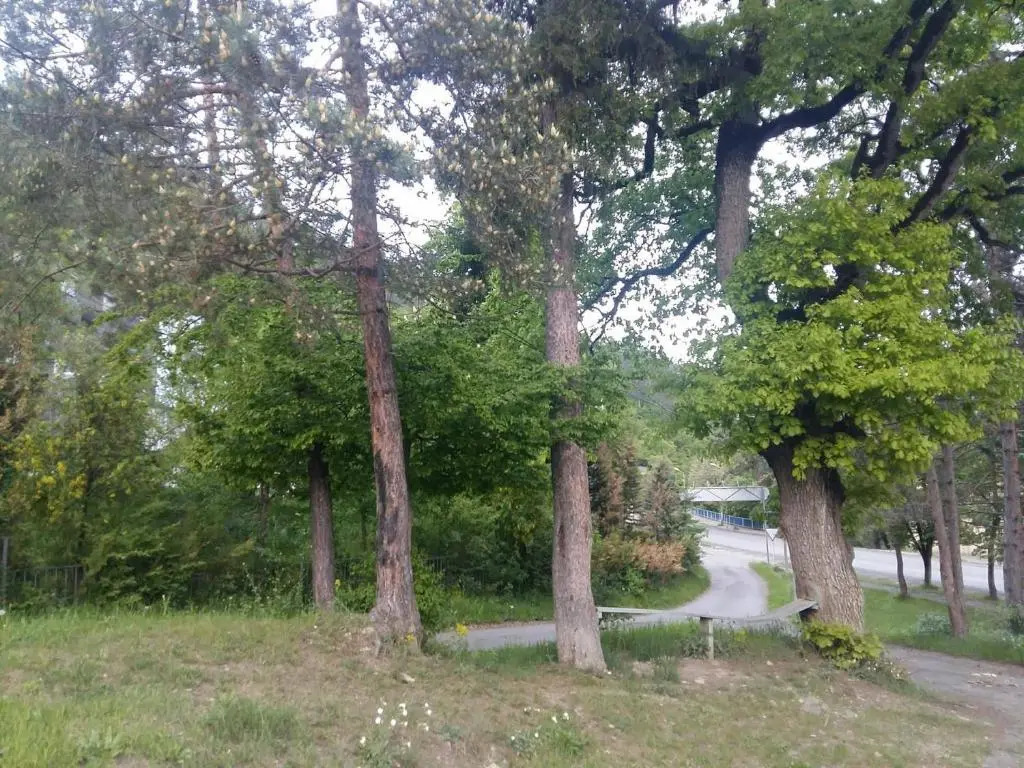 Guest House Lomidze