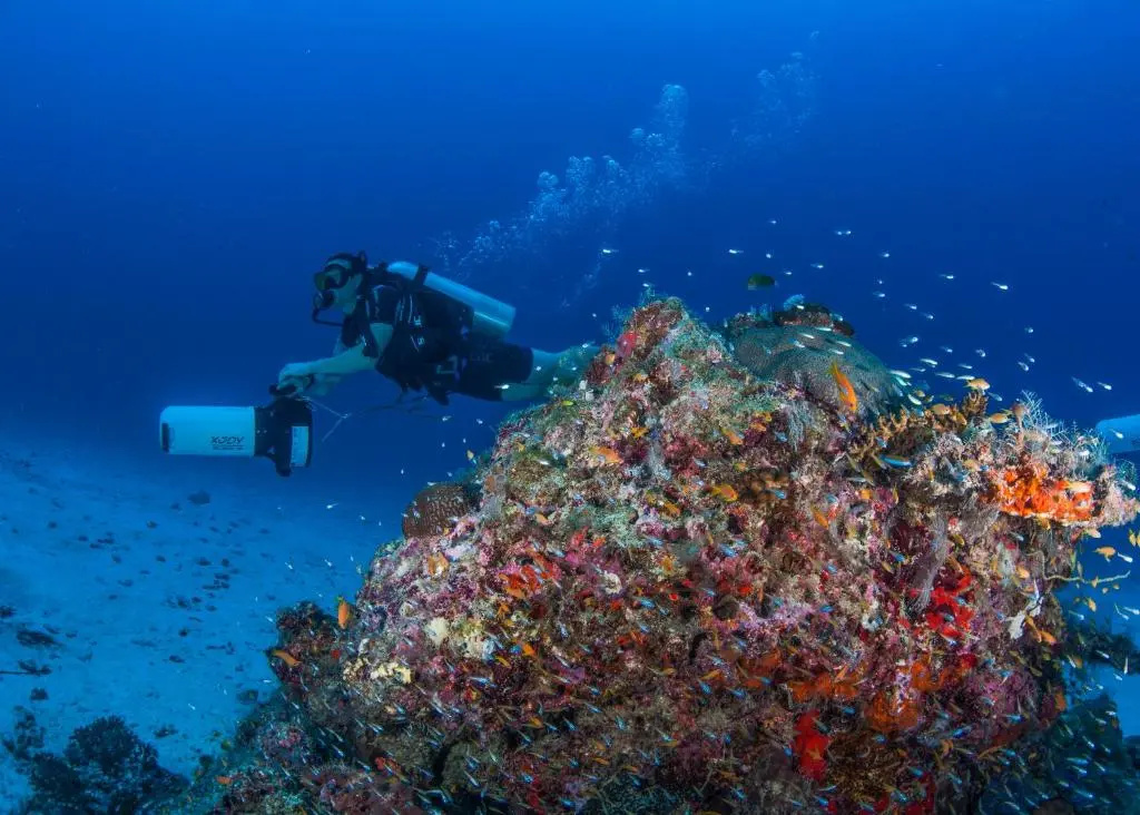 Faima Fishing Lodge at Daravandhoo