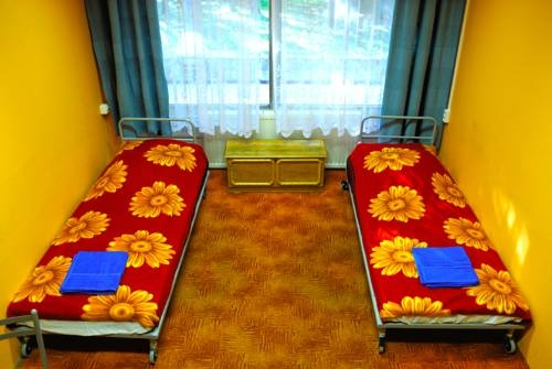 Budget Hostel