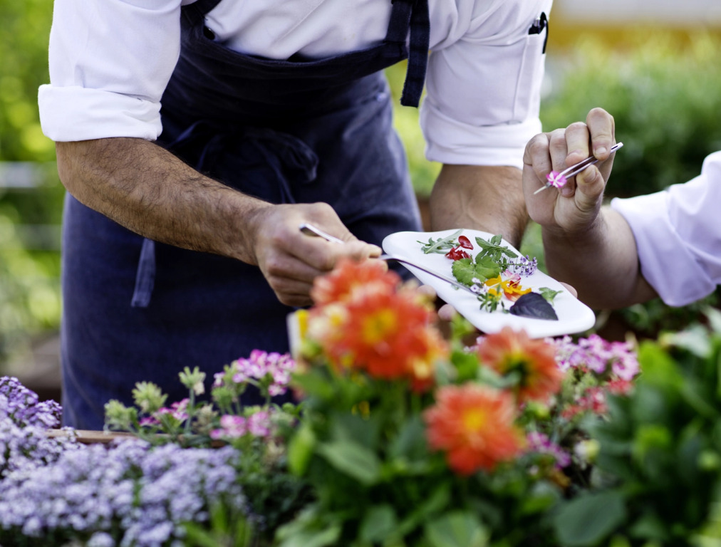The Cook Book Gastro Boutique Hotel & Spa