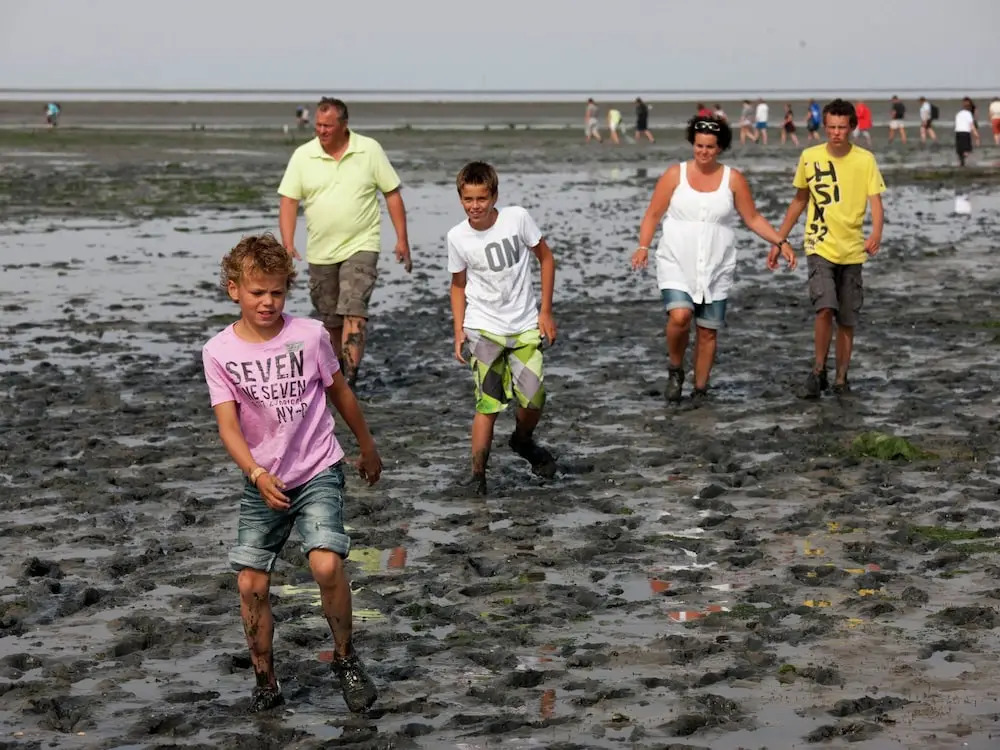 Luxury Thatched Wellness Villa near Sea on Texel