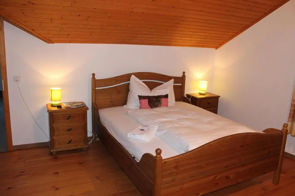Hotel Rothorn Vintage-Style