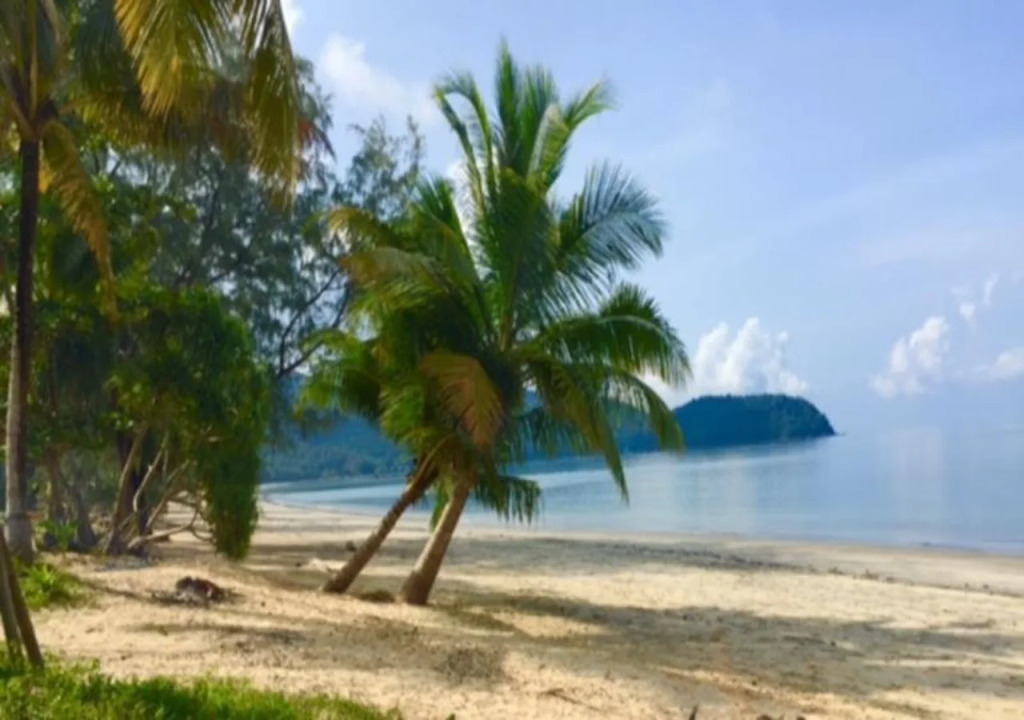 Cashew Resort