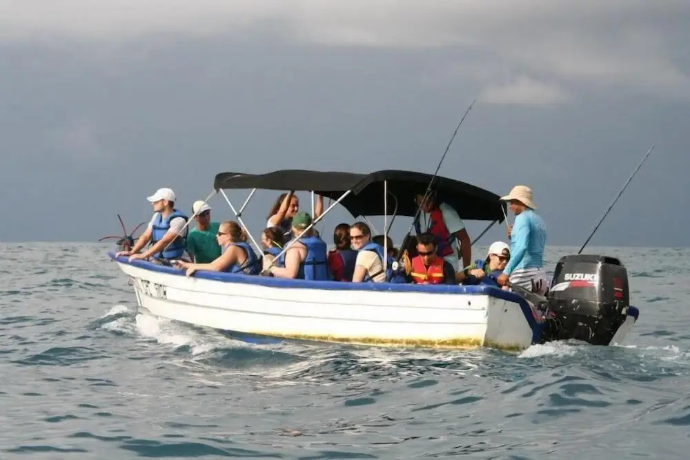 Cabinas surf Arribadas