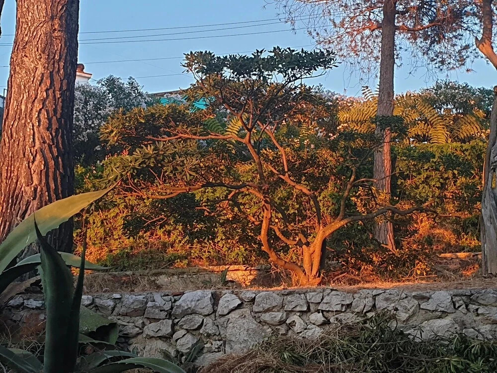 Il Rifugio B&B Capri