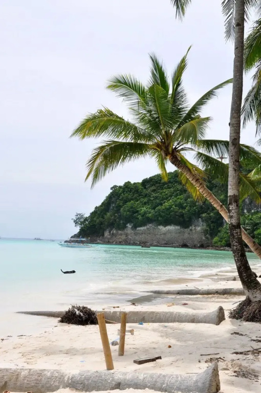 El Moro Beach Resort by Cocotel