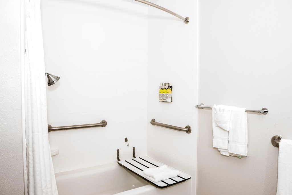 Holiday Inn Express Hotel & Suites Tampa-USF-Busch Gardens by IHG