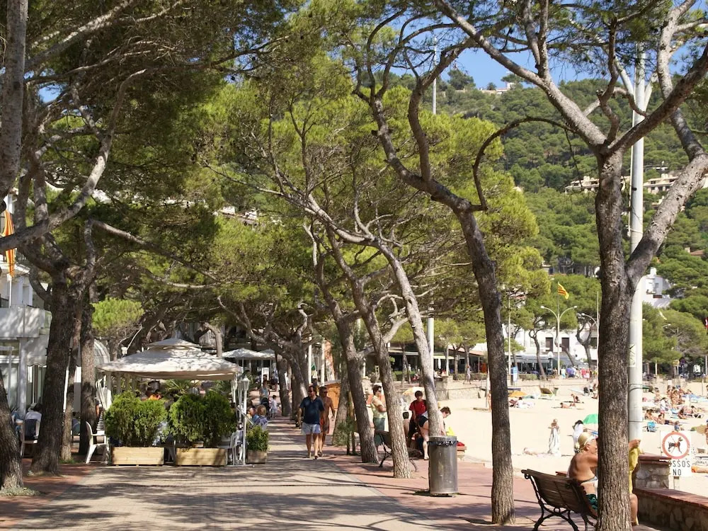 Cozy Apartment in Calella de Palafrugell With Swimming Pool