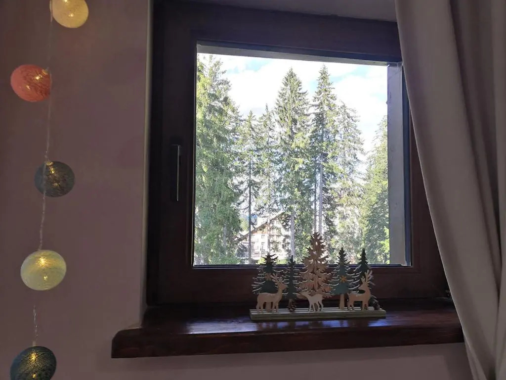 A43a Green Life Pamporovo