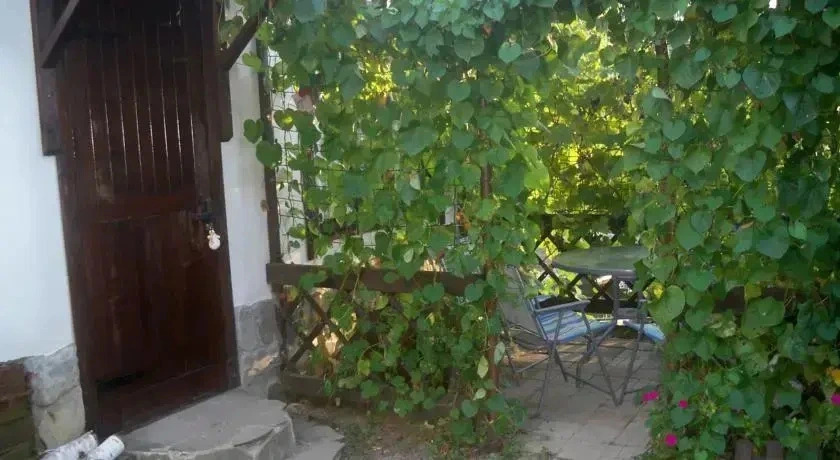 Персиковая поляна