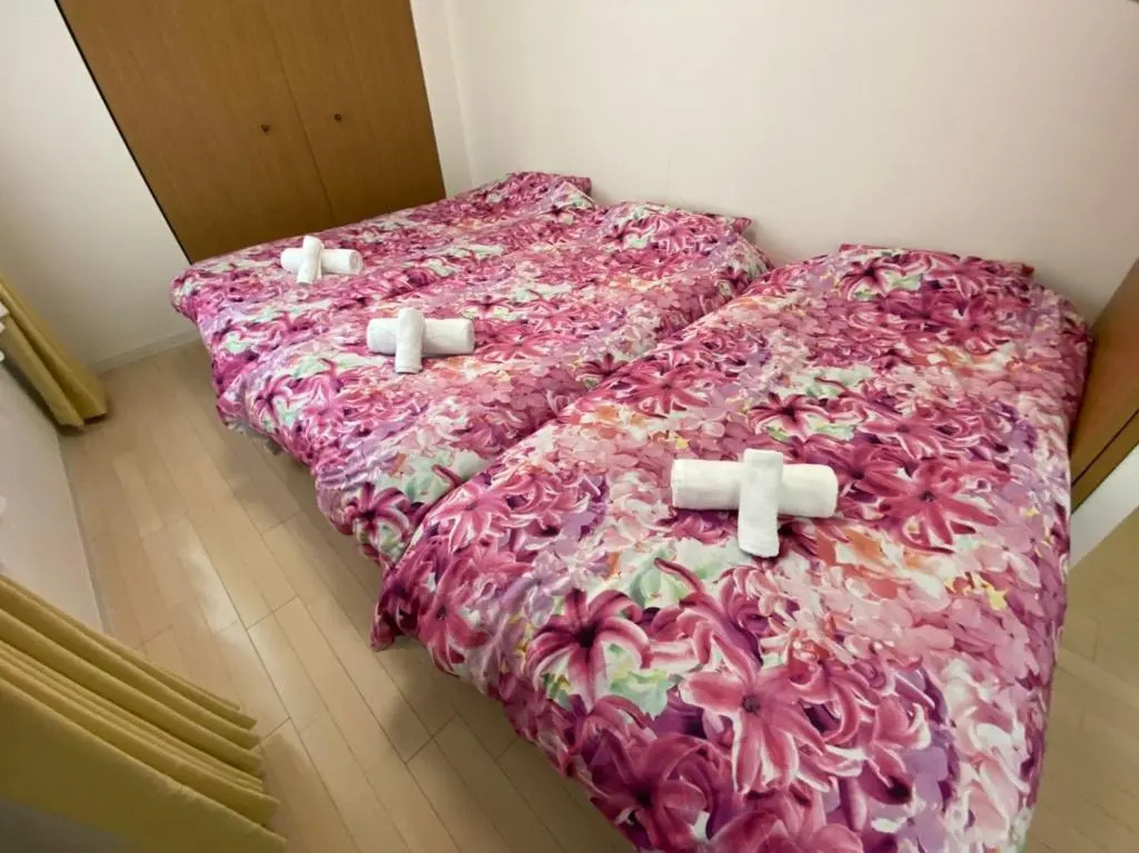 Downtown area Spacious cozy room Susukino IK301
