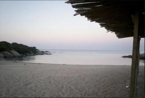 Lentischi