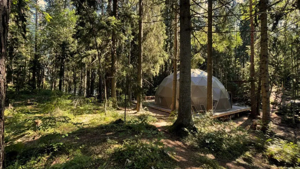 Вили Улей Карелия