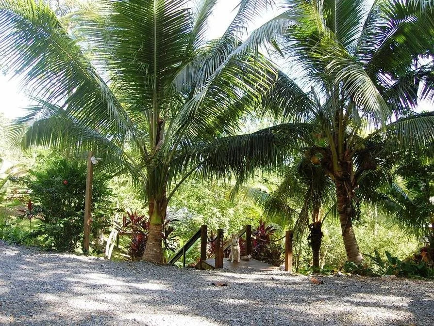 Villagio Verde