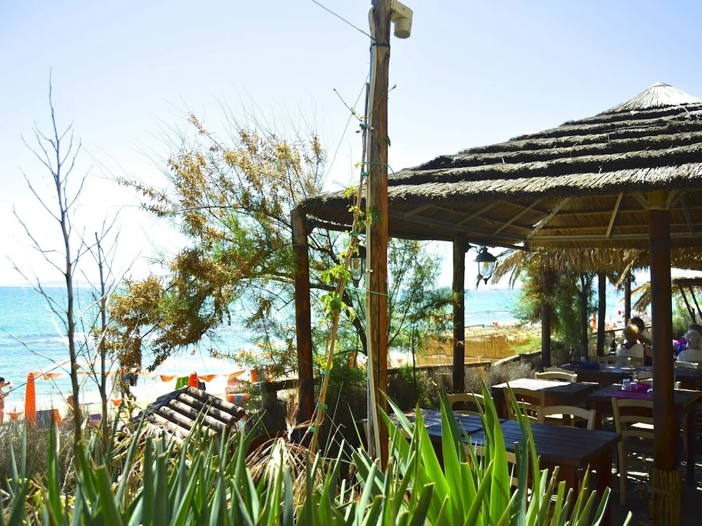 House in Tuscany Near Baratti Beach