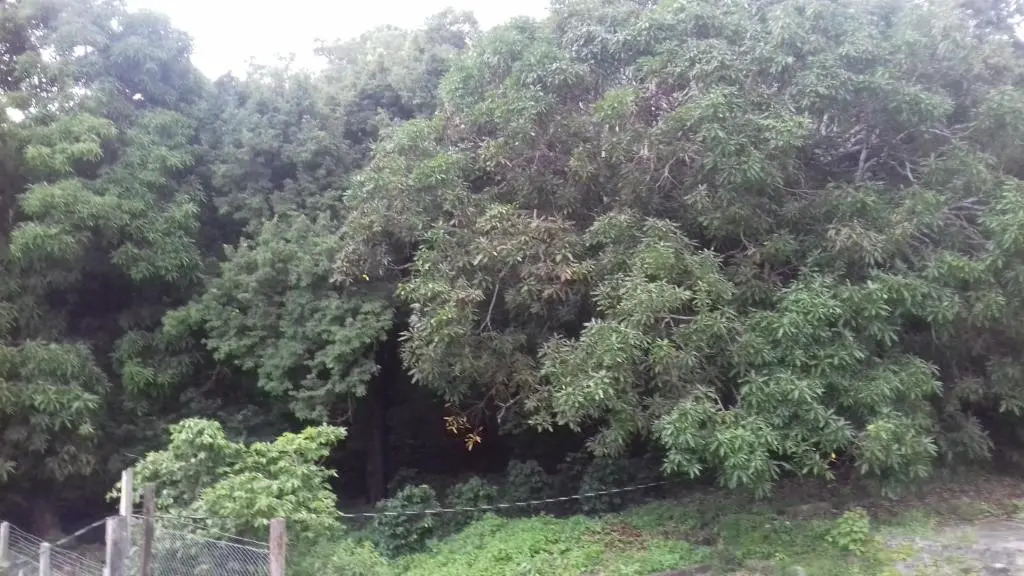 Hostal Finca Magdalena