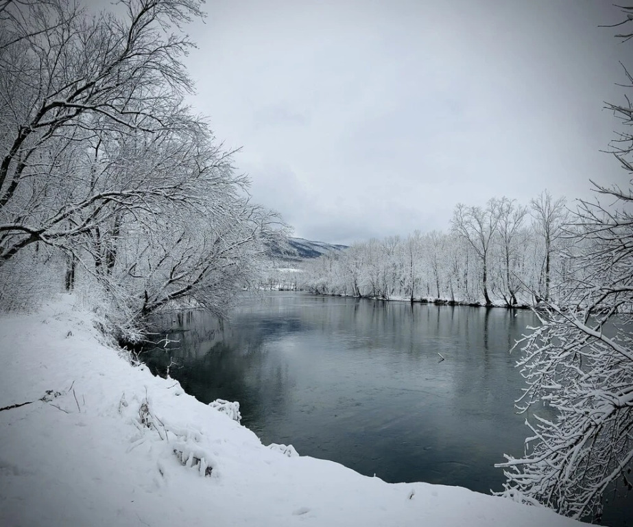 Riverfront Pioneer Cabins LLC