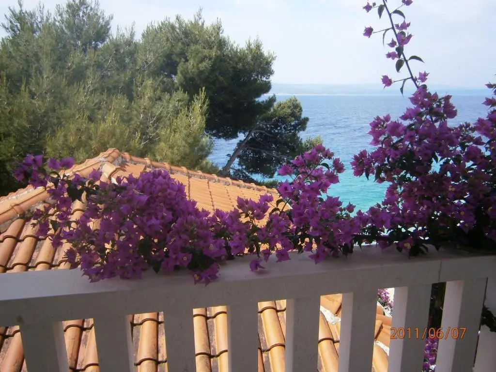Guesthouse Seaview