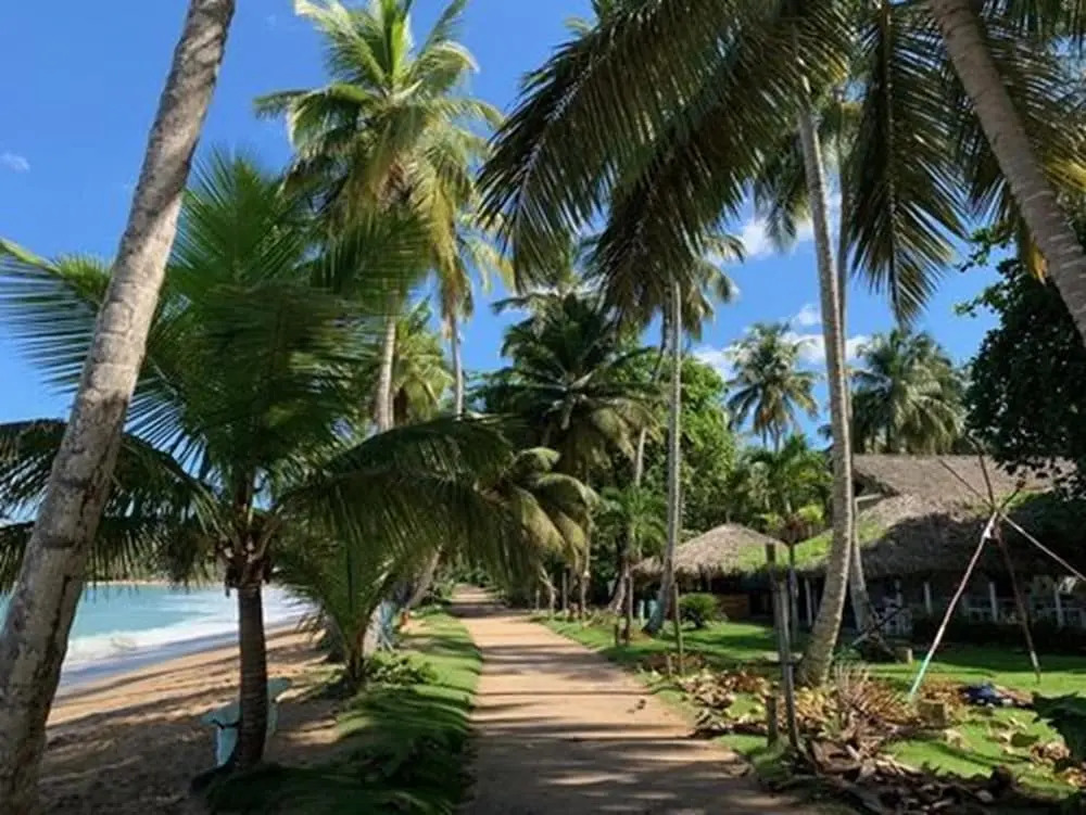 Mosquito Boutique Hotel