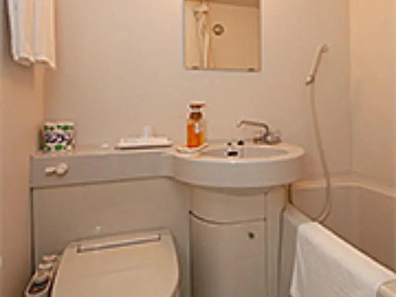 Business Hotel Cosmo Inn