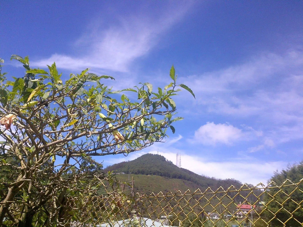 Andrews Hostel