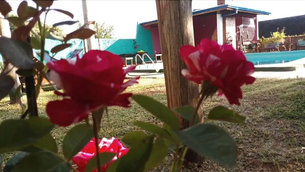 Flowers hostel