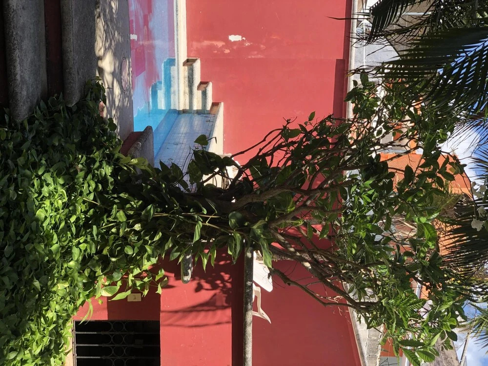 Incredibly Downtown Condo in Cancun. Experience as a Local, Enjoy as a Tourist