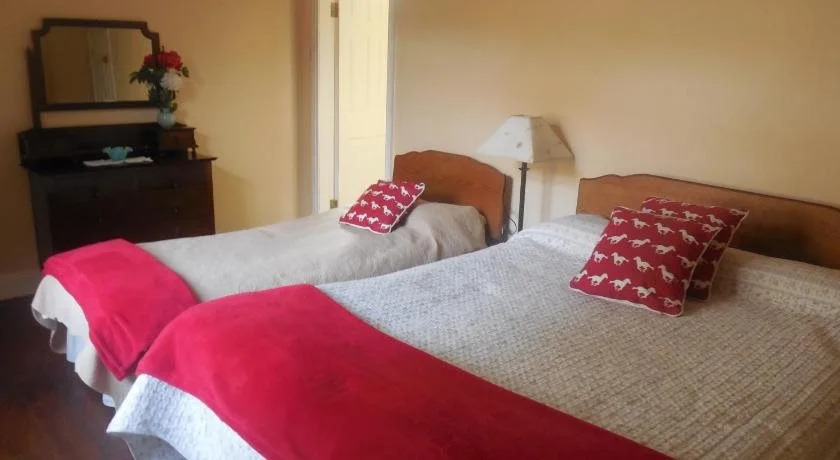 Fitzgeralds Farmhouse Accommodation V94 YY47