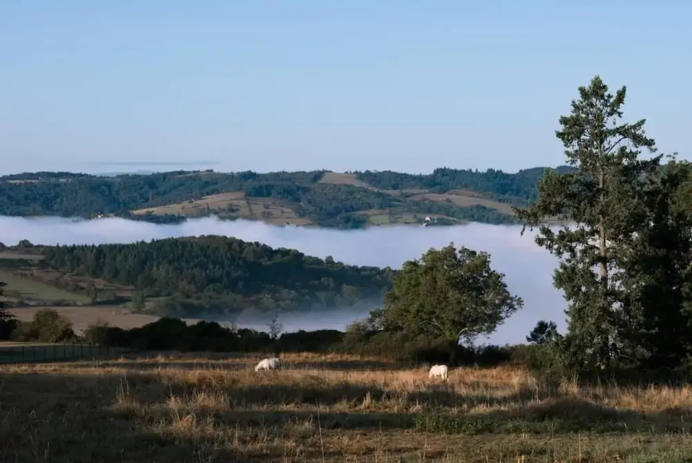 Domaine Des Grands Cèdres
