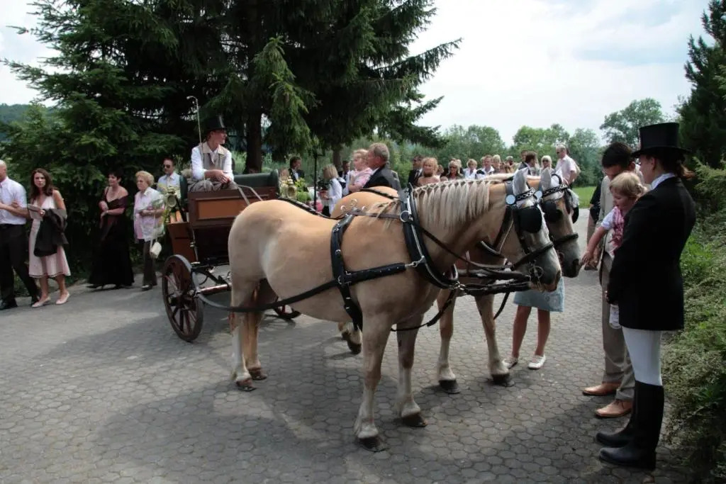 Rhönhotel Alte Mühle