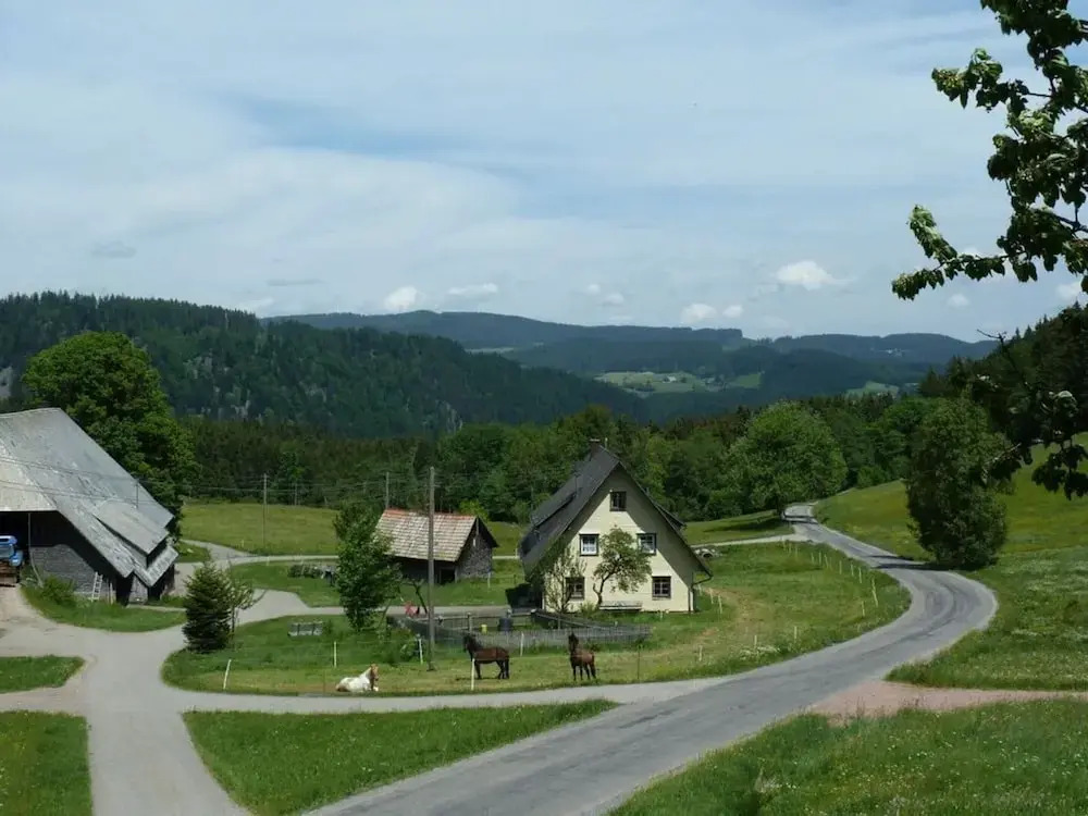 Holiday Apartment Tannenblick