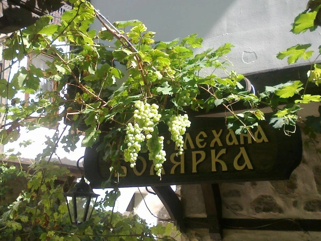 Хотел Болярка