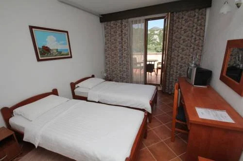 Hotel Vir