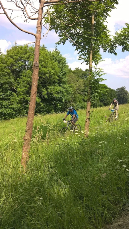 Kammbaude Neuhermsdorf