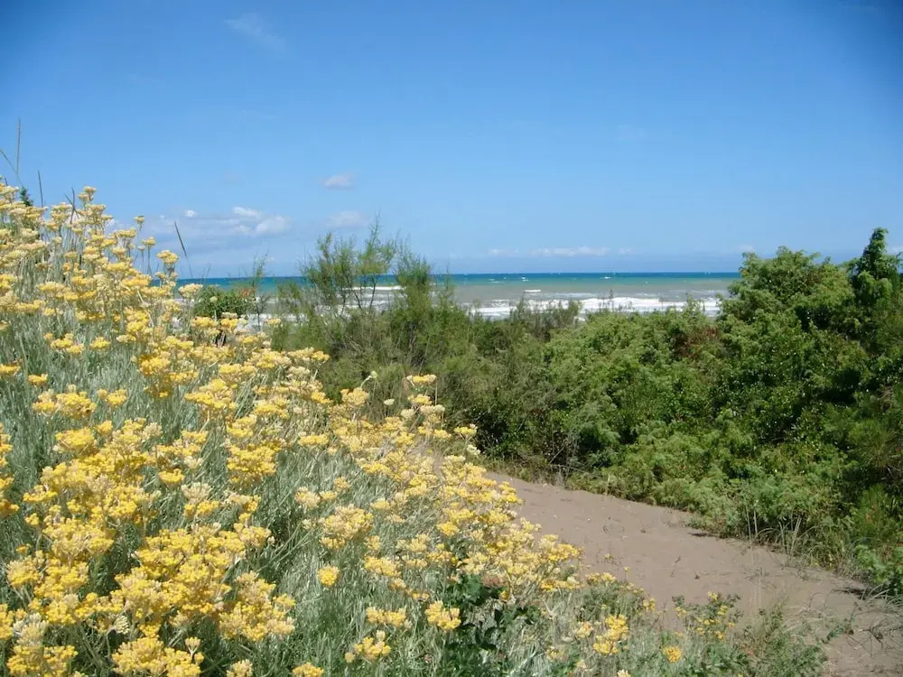 Holiday Home in Castagneto Near the Beach