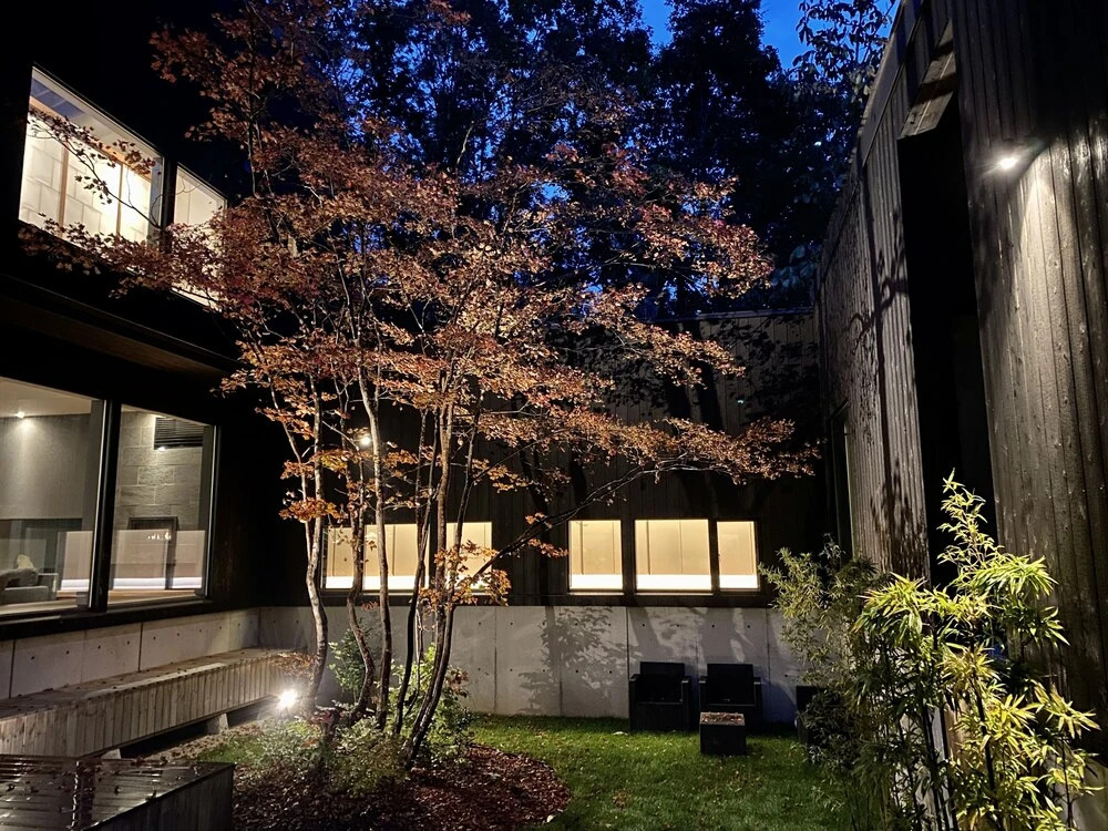Nivia