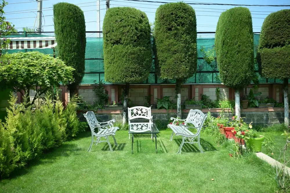 Tree of Life Lakeside Cottage, Srinagar