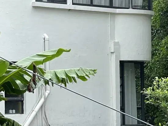 Zhaoqing Chidu Homestay