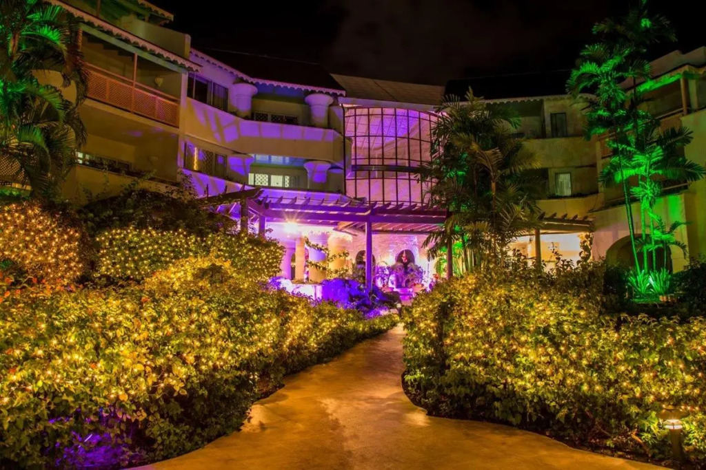 Bougainvillea Barbados
