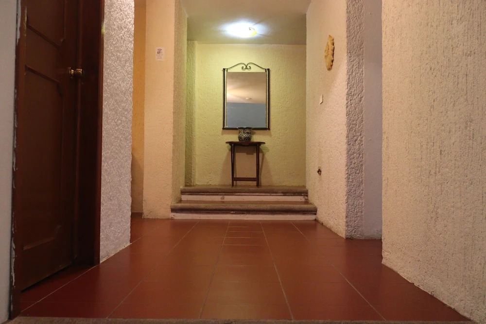 House of Ficus Banderilla,veracruz-mexico