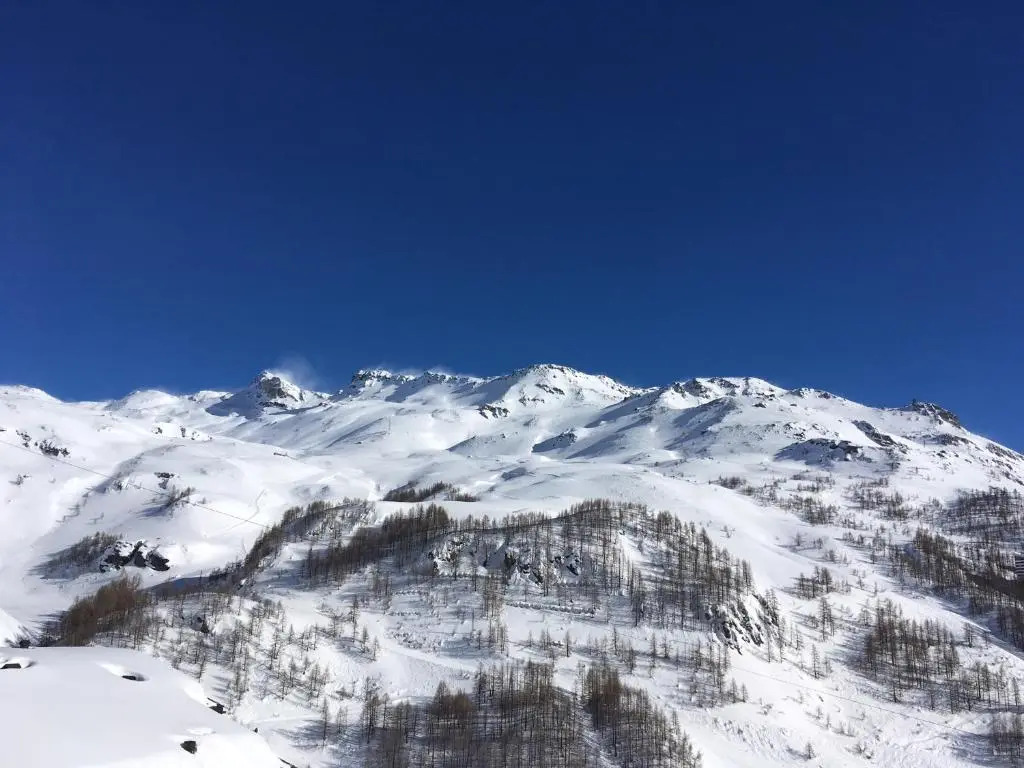 La marmotta bianca