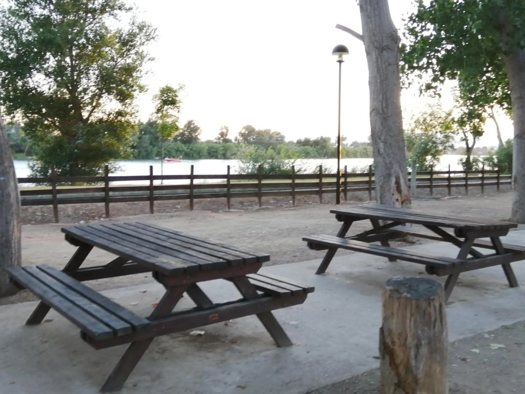 Somnis del Delta