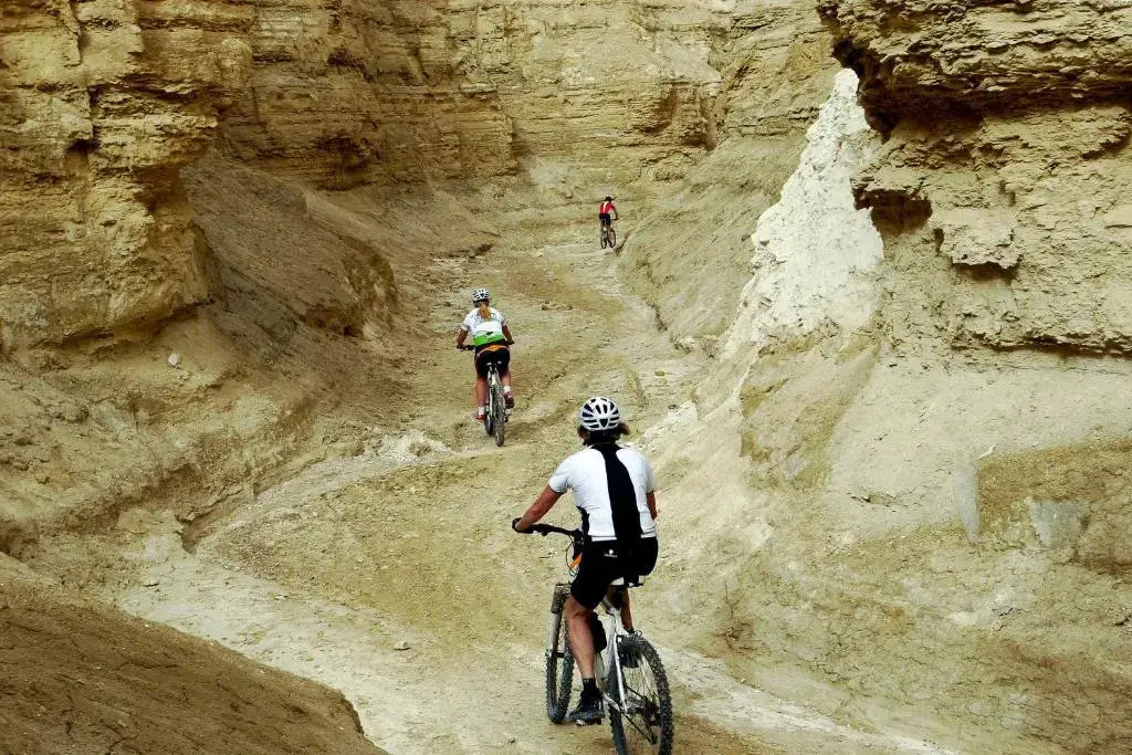 Belfer's Dead Sea cabins- Apartments