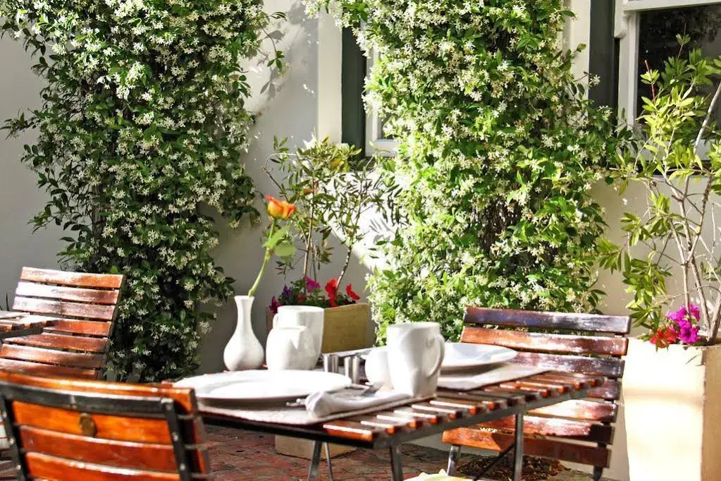 Nine Flowers Guest House