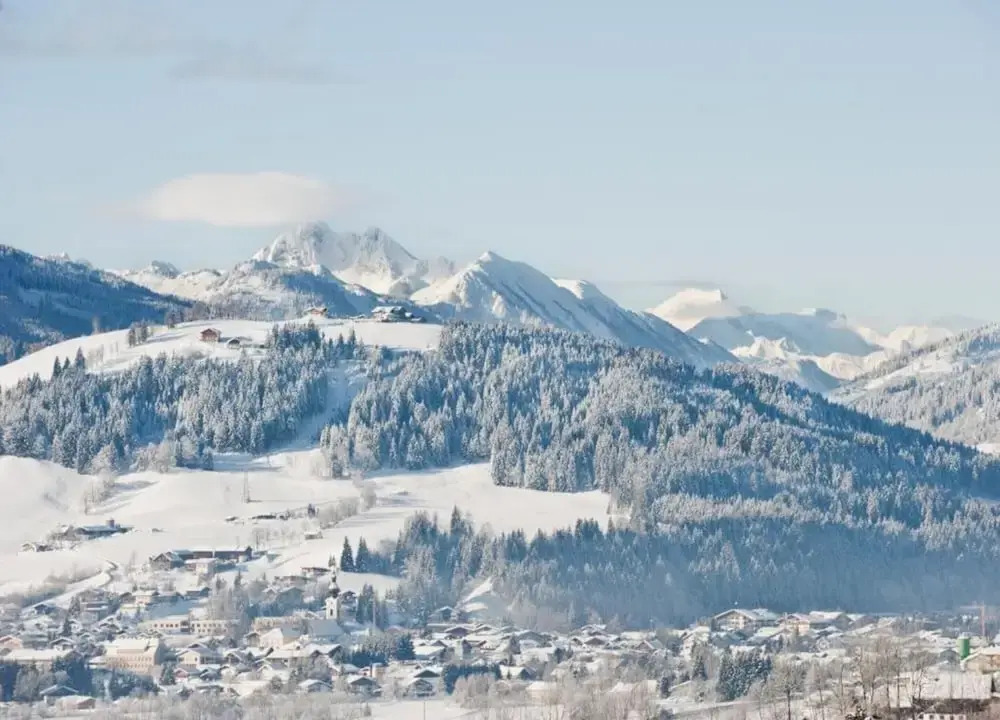 Lush Holiday Home in Hüttau near Ski Area