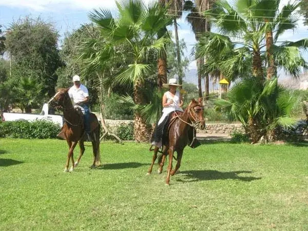Hotel Fundo San Rafael