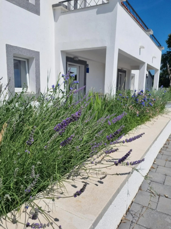 Villa Olana