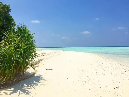Real Ocean Keyodhoo Maldives