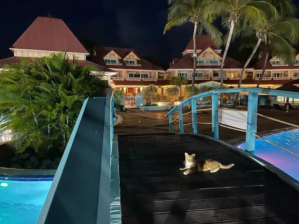 Studios Barbadine - Resorts Flats